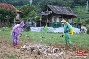 'Khống chế dịch tả lợn châu Phi