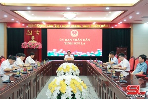 Thi đua hoàn thành mục tiêu 3.000 km đường bộ cao tốc  