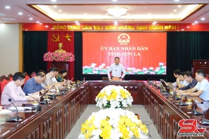 Bàn phương án triển khai xây dựng trường phổ thông nội trú liên cấp tiểu học - THCS tại các xã biên giới 