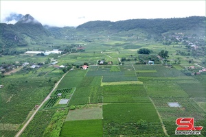'Phát triển sản phẩm OCOP gắn với lợi thế địa phương