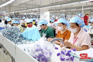'Ban Quản lý các khu công nghiệp tỉnh Sơn La triển khai hoạt động xúc tiến đầu tư tại tỉnh Ninh Bình