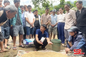 'Tập huấn, hỗ trợ nông dân vùng lũ khôi phục sản xuất bằng chế phẩm vi sinh Emuniv