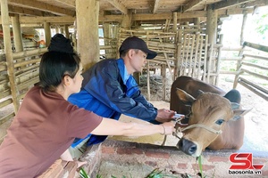 'Quyết tâm không để dịch bệnh lây lan trên diện rộng