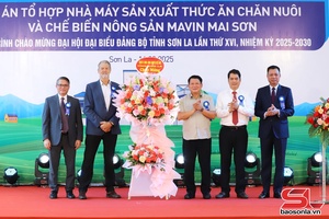 Lễ khởi công tổ hợp nhà máy sản xuất thức ăn chăn nuôi và chế biến nông sản Mavin Mai Sơn