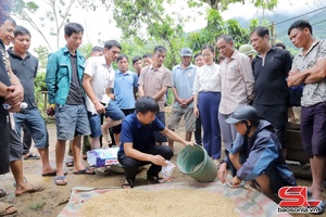 'Hỗ trợ nhân dân vùng lũ khôi phục sản xuất