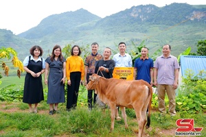 'Trao tặng sinh kế hỗ trợ 37 hộ nghèo tại phường Mộc Châu