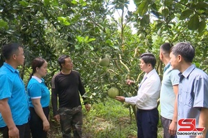 'Về vùng quê cách mạng Mường Hung