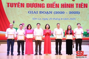 'Sở Văn hóa, Thể thao và Du lịch tuyên dương 20 điển hình tiên tiến  