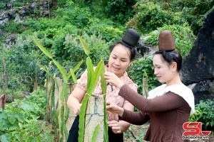 Phụ nữ Sơn La chung sức xây dựng nông thôn mới