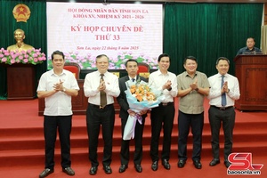 Kỳ họp chuyên đề thứ 33, HĐND tỉnh khóa XV
