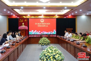 Nghiên cứu tiền khả thi dự án REDD+ tại Sơn La