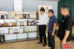 ' Thành công từ liên kết sản xuất cà phê theo chuỗi giá trị