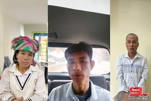'Liên tiếp bắt giữ các đối tượng phạm tội ma túy