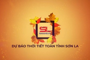 'Dự báo thời tiết toàn tỉnh Sơn La ngày 03/9/2025

