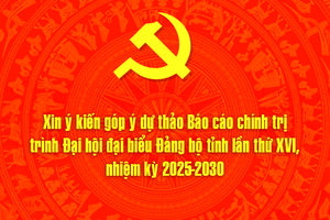 Xin ý kiến góp ý dự thảo Báo cáo chính trị trình Đại hội đại biểu Đảng bộ tỉnh lần thứ XVI, nhiệm kỳ 2025-2030