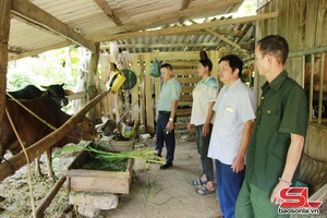 Chiềng Cơi tăng cường phòng, chống dịch bệnh cho đàn vật nuôi