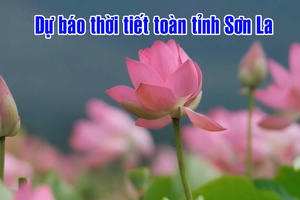 'Dự báo thời tiết toàn tỉnh Sơn La ngày 10/9/2025

