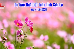 'Dự báo thời tiết toàn tỉnh Sơn La ngày 11/9/2025

