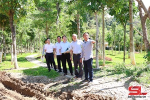 'Trẻ hóa "đầu tàu" chi bộ nông thôn