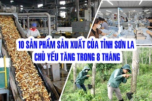 '10 sản phẩm sản xuất của tỉnh Sơn La chủ yếu tăng trong 8 tháng  