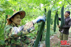 'Phát huy mọi nguồn lực xây dựng nông thôn mới 