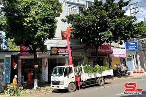 'Công ty Điện lực Sơn La chủ động ứng phó với cơn bão số 9