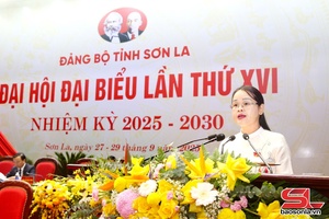 Tổng hợp các ý kiến tham gia vào dự thảo các Văn kiện trình Đại hội đại biểu toàn quốc lần thứ XIV của Đảng 
