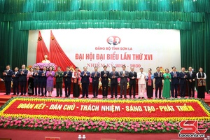 Bầu Đoàn đại biểu Đảng bộ tỉnh Sơn La đi dự Đại hội đại biểu toàn quốc lần thứ XIV của Đảng