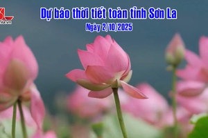 'Dự báo thời tiết toàn tỉnh Sơn La ngày 02/10/2025