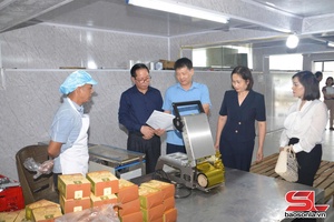 'Chính sách khuyến công - Đòn bẩy cho công nghiệp nông thôn Sơn La