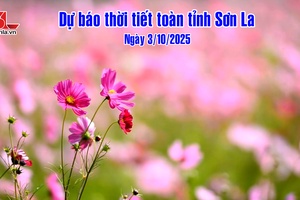 'Dự báo thời tiết toàn tỉnh Sơn La ngày 3/10/2025

