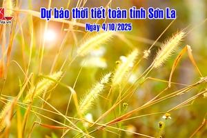 'Dự báo thời tiết toàn tỉnh Sơn La ngày 4/10/2025

