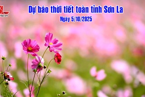 'Dự báo thời tiết toàn tỉnh Sơn La ngày 05/10/2025

