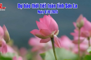 'Dự báo thời tiết toàn tỉnh Sơn La ngày 6/10/2025