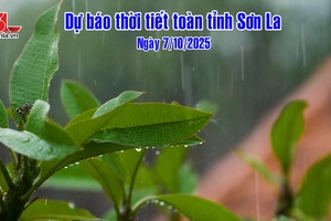'Dự báo thời tiết toàn tỉnh Sơn La ngày 7/10/2025

