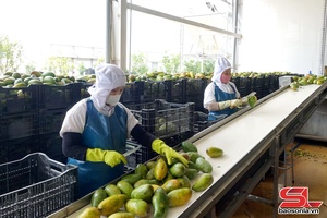 Đẩy mạnh sản xuất công nghiệp