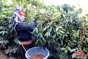 'Lan tỏa phong trào thi đua yêu nước tới các cấp hội phụ nữ