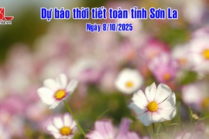 'Dự báo thời tiết toàn tỉnh Sơn La ngày 8/10/2025

