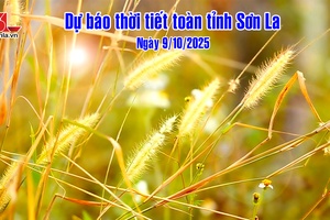 'Dự báo thời tiết toàn tỉnh Sơn La ngày 9/10/2025

