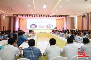 'Canh tác cà phê thông minh thích ứng với biến đổi khí hậu