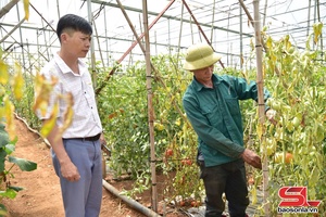 Tập trung khôi phục sản xuất nông nghiệp sau bão