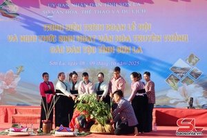 'Trình diễn trích đoạn Lễ hội Kéo cây si
