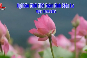 'Dự báo thời tiết toàn tỉnh Sơn La ngày 11/10/2025