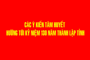 'Các ý kiến tâm huyết hướng tới Kỷ niệm 130 năm thành lập tỉnh