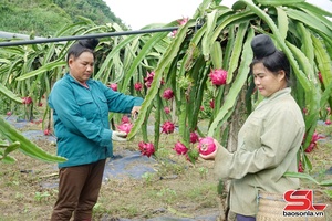 'Bảo hộ thương hiệu cho sản phẩm nông sản tiêu biểu
