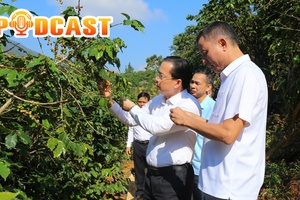 Bản tin Podcast ngày 18/10/2025