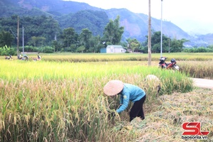 'Đầu tư cho thủy lợi để hoàn thiện tiêu chí nông thôn mới 