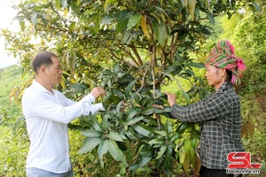 'Đồng hành cùng hội viên trong phát triển kinh tế