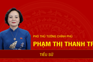 [Infographic] Tiểu sử Phó Thủ tướng Phạm Thị Thanh Trà
