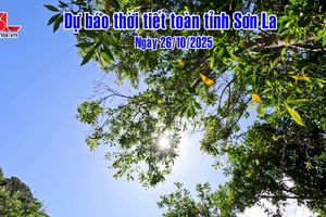 'Dự báo thời tiết toàn tỉnh Sơn La ngày 26/10/2025